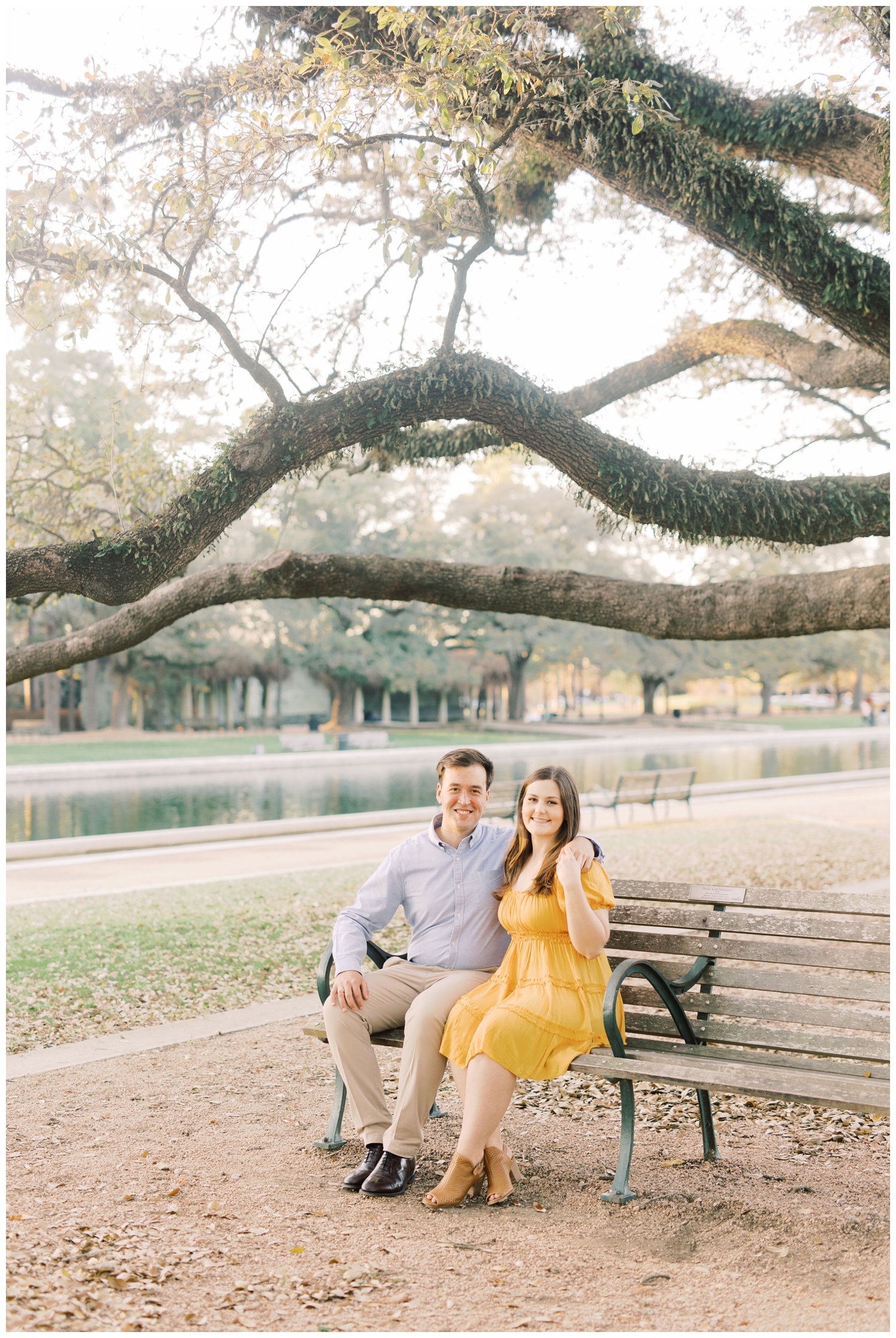 couple sitting on park bench under tree in Hermann Park for a Houston Engagement Photogrrapher