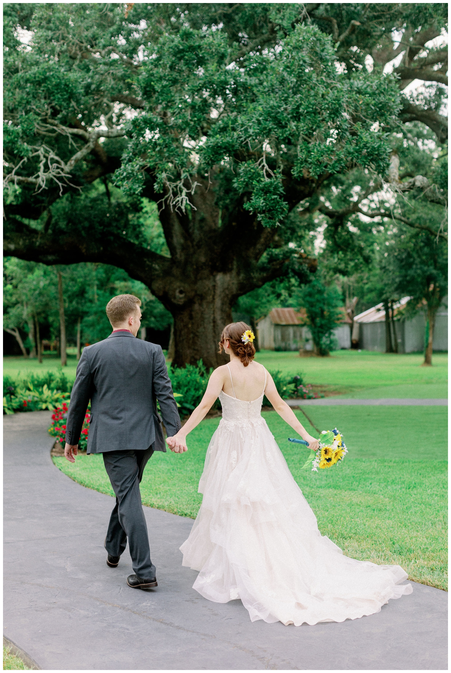 bride and groom holding hands and walking toward oak tree outdoors