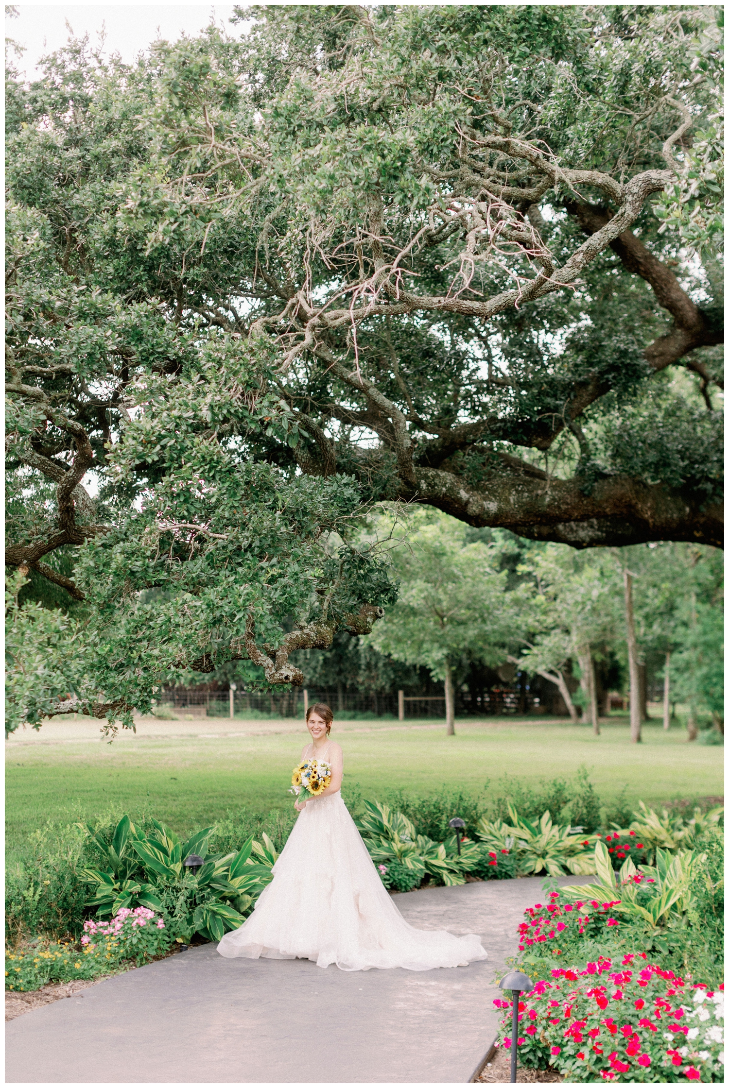 bridal portrait with bride standing under oak tree at The Oaks at Oak Plantation wedding