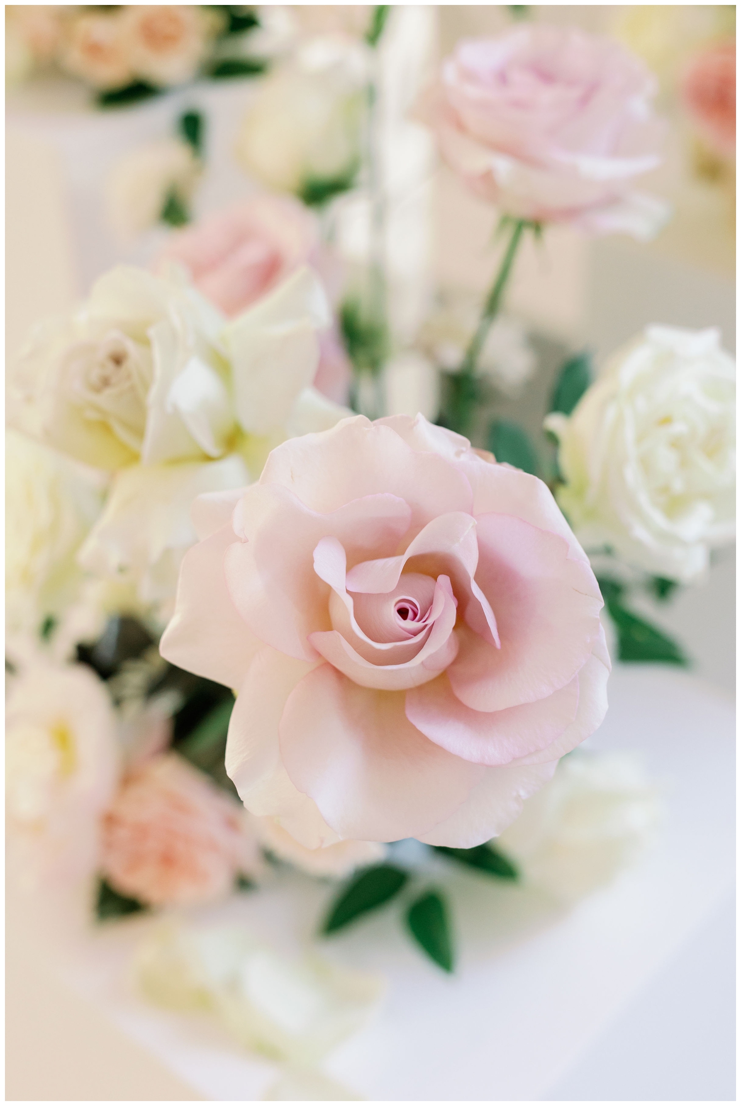 pink rose and white roses inside ballroom at The Peach Orchard Venue