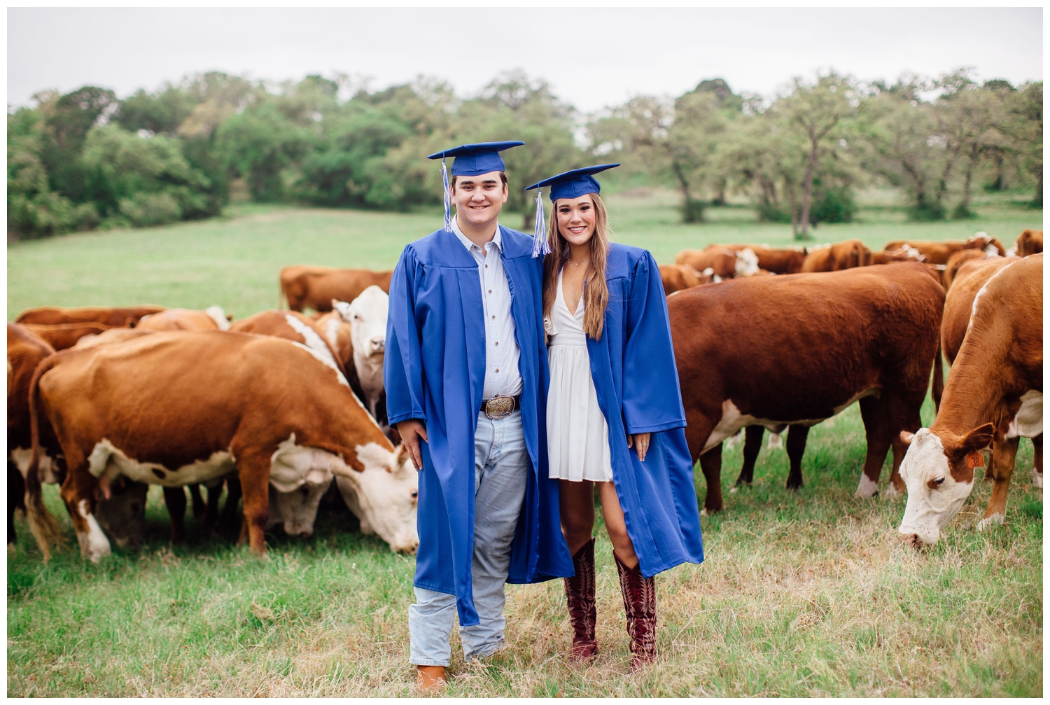 brother and sister in blue cap and gown surrounded by cows