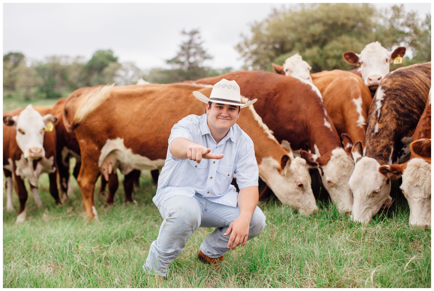 senior guy squatting in a field surrounded by cows for Houston senior photographer