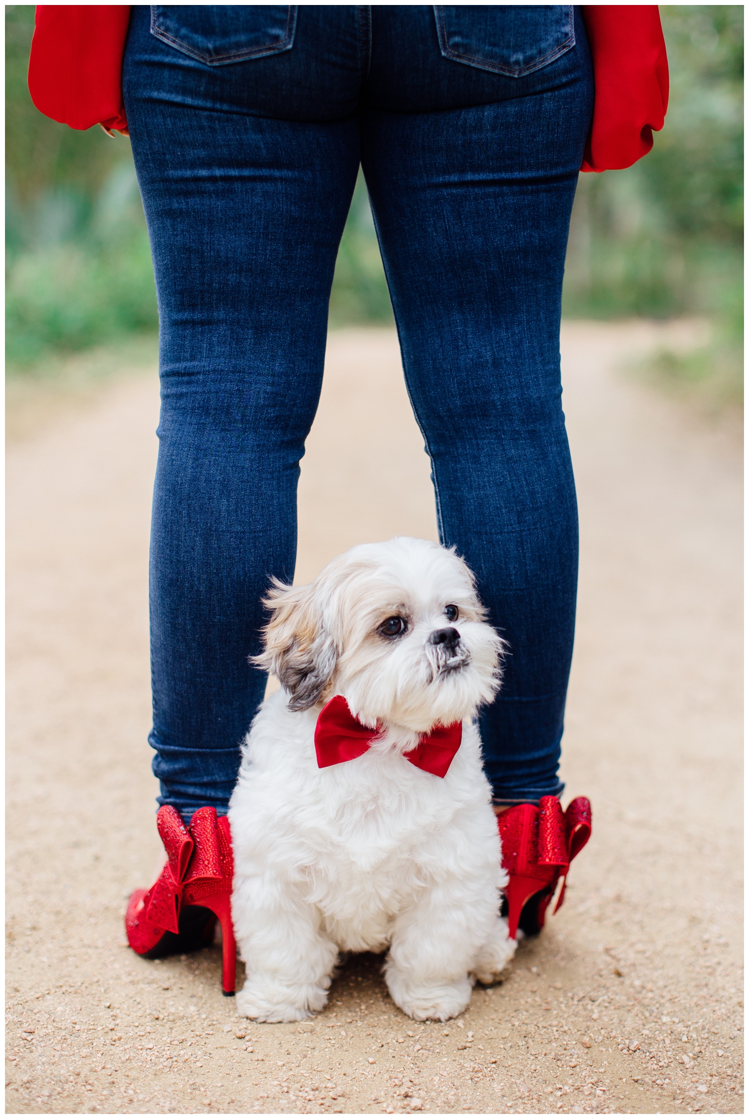 white dog with red bow tie between senior girls legs with red heels Houston